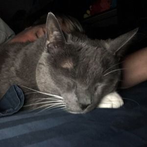 Meet your Posher, Allison